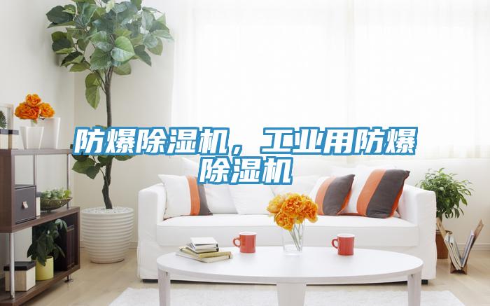 防爆除濕機(jī)，工業(yè)用防爆除濕機(jī)