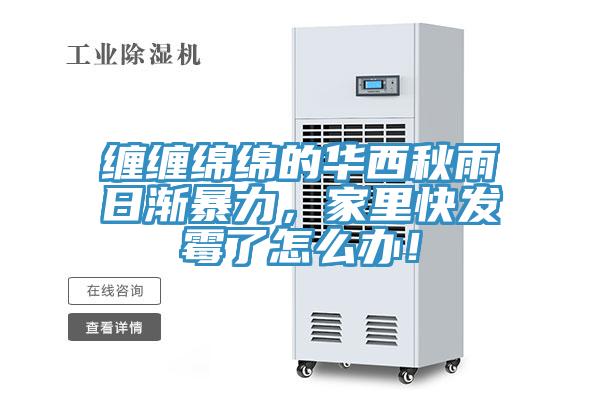 纏纏綿綿的華西秋雨日漸暴力，家里快發(fā)霉了怎么辦！