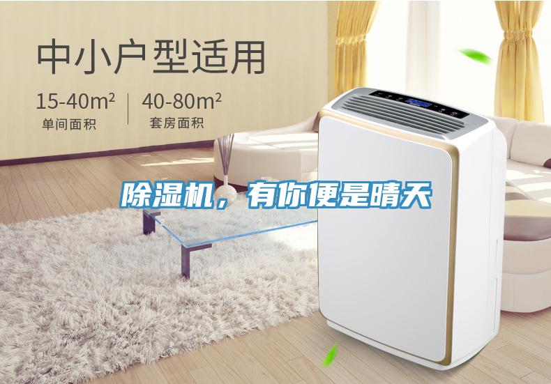除濕機，有你便是晴天