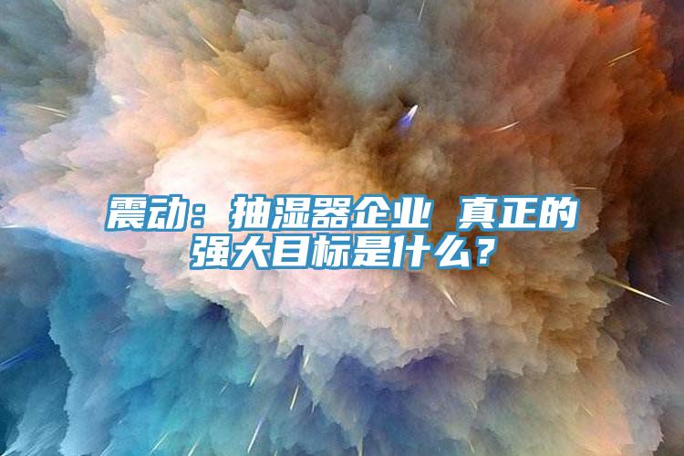 震動：抽濕器企業(yè) 真正的強大目標是什么？