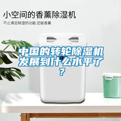 中國的轉(zhuǎn)輪除濕機(jī)發(fā)展到什么水平了？