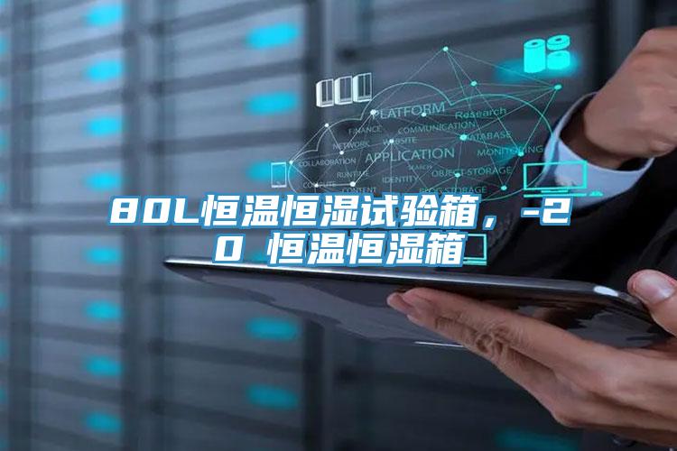 80L恒溫恒濕試驗(yàn)箱，-20℃恒溫恒濕箱