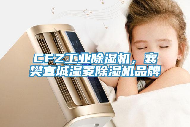 CFZ工業(yè)除濕機(jī)，襄樊宜城濕菱除濕機(jī)品牌