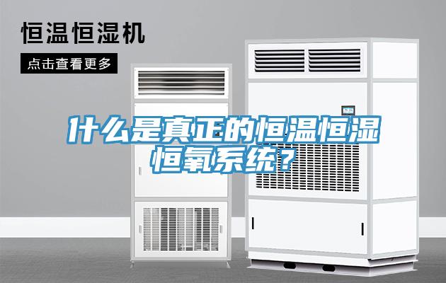 什么是真正的恒溫恒濕恒氧系統(tǒng)？