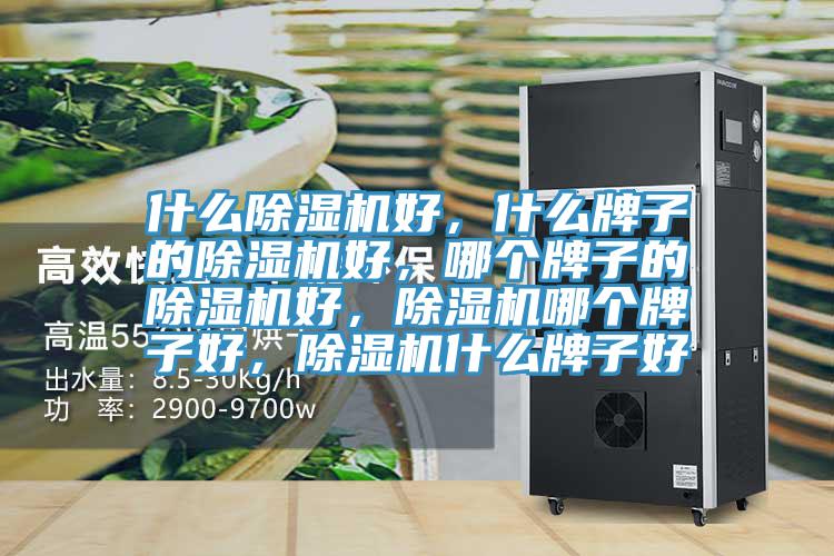 什么除濕機(jī)好，什么牌子的除濕機(jī)好，哪個(gè)牌子的除濕機(jī)好，除濕機(jī)哪個(gè)牌子好，除濕機(jī)什么牌子好