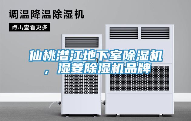 仙桃潛江地下室除濕機，濕菱除濕機品牌