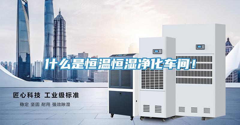 什么是恒溫恒濕凈化車間！
