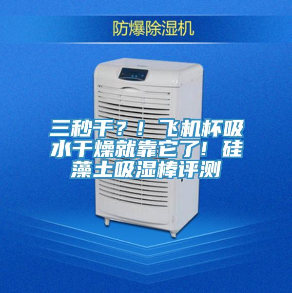 三秒干？! 飛機(jī)杯吸水干燥就靠它了! 硅藻土吸濕棒評(píng)測(cè)