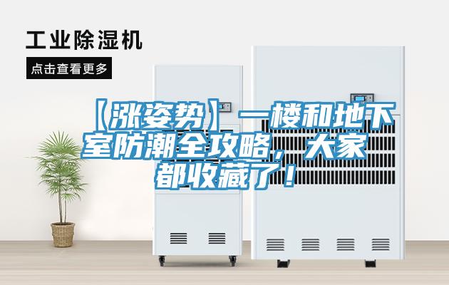【漲姿勢】一樓和地下室防潮全攻略，大家都收藏了！