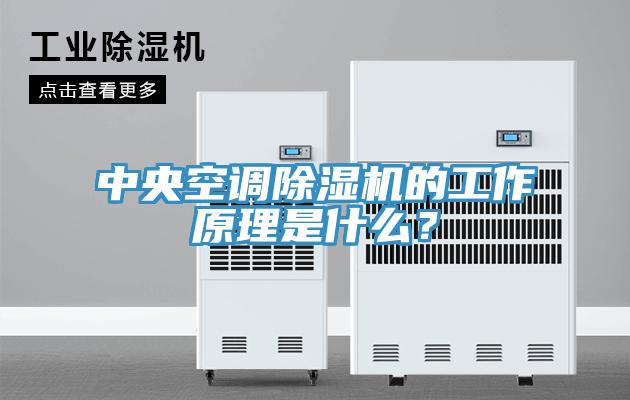 中央空調除濕機的工作原理是什么？