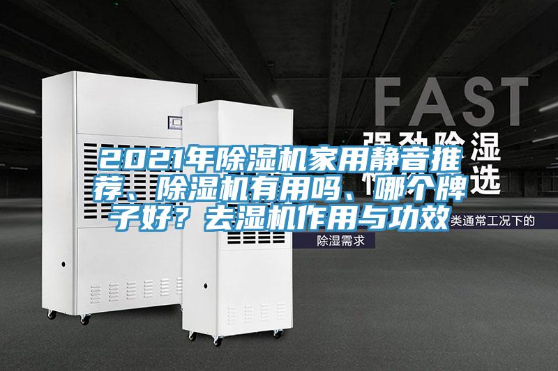 2021年除濕機家用靜音推薦、除濕機有用嗎、哪個牌子好？去濕機作用與功效