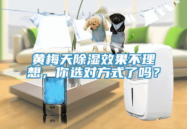 黃梅天除濕效果不理想，你選對(duì)方式了嗎？