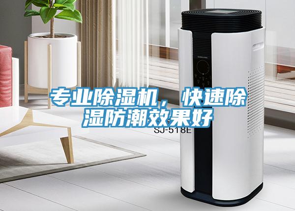 專業(yè)除濕機，快速除濕防潮效果好