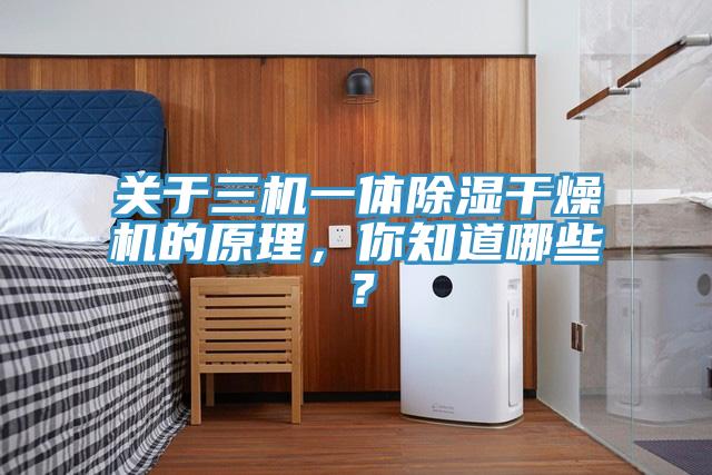 關于三機一體除濕干燥機的原理，你知道哪些？