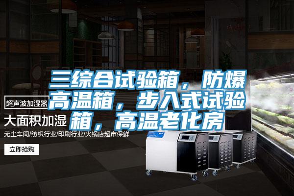 三綜合試驗(yàn)箱，防爆高溫箱，步入式試驗(yàn)箱，高溫老化房