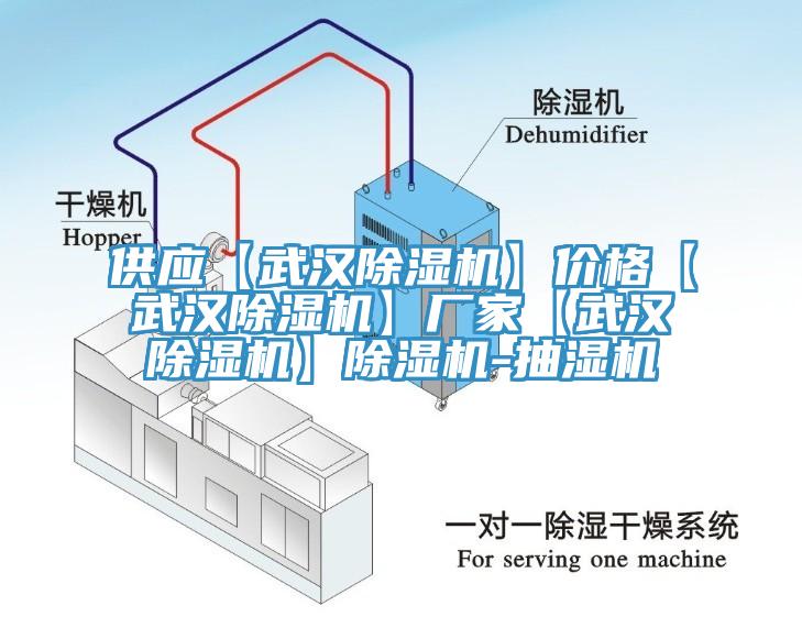 供應(yīng)【武漢除濕機(jī)】?jī)r(jià)格【武漢除濕機(jī)】廠(chǎng)家【武漢除濕機(jī)】除濕機(jī)-抽濕機(jī)