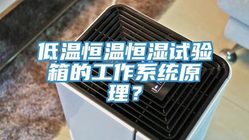 低溫恒溫恒濕試驗(yàn)箱的工作系統(tǒng)原理？