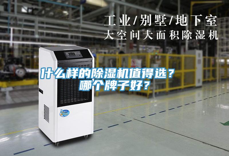什么樣的除濕機值得選？ 哪個牌子好？