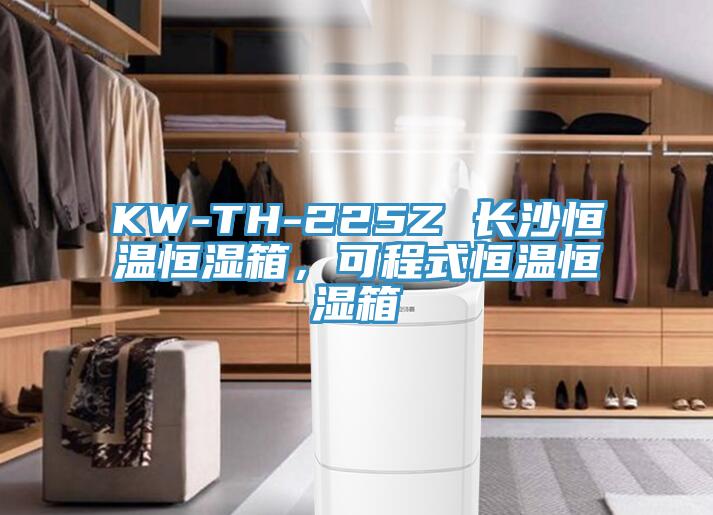 KW-TH-225Z 長沙恒溫恒濕箱，可程式恒溫恒濕箱