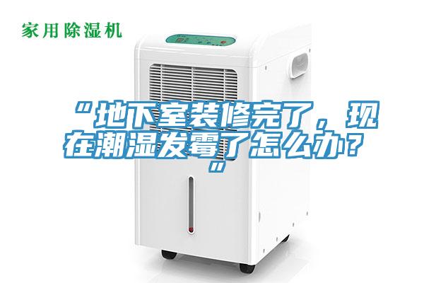 “地下室裝修完了，現(xiàn)在潮濕發(fā)霉了怎么辦？”
