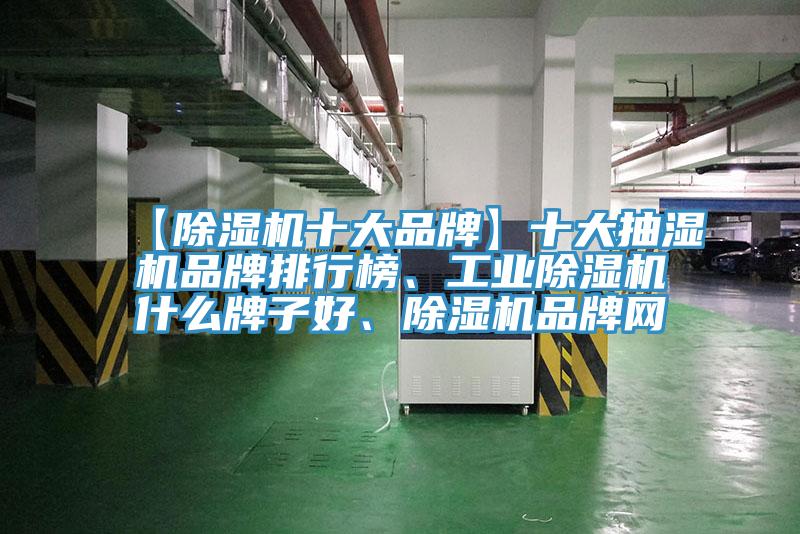 【除濕機十大品牌】十大抽濕機品牌排行榜、工業(yè)除濕機什么牌子好、除濕機品牌網(wǎng)