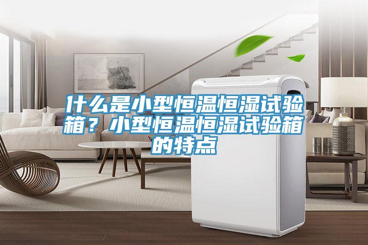 什么是小型恒溫恒濕試驗(yàn)箱？小型恒溫恒濕試驗(yàn)箱的特點(diǎn)