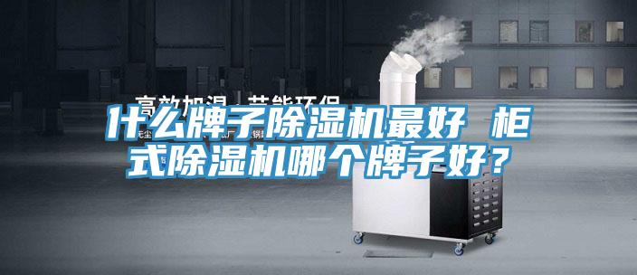 什么牌子除濕機(jī)最好 柜式除濕機(jī)哪個(gè)牌子好？
