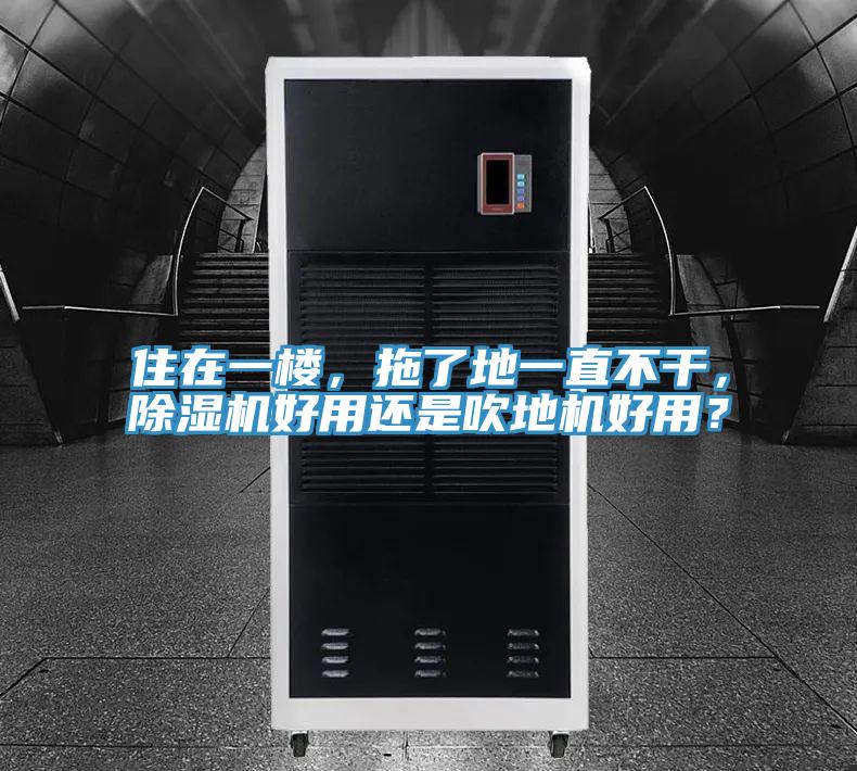 住在一樓，拖了地一直不干，除濕機(jī)好用還是吹地機(jī)好用？