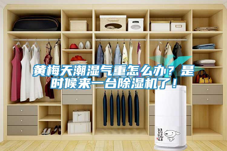 黃梅天潮濕氣重怎么辦？是時(shí)候來(lái)一臺(tái)除濕機(jī)了！