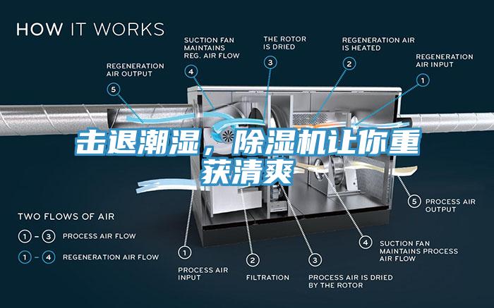 擊退潮濕，除濕機(jī)讓你重獲清爽