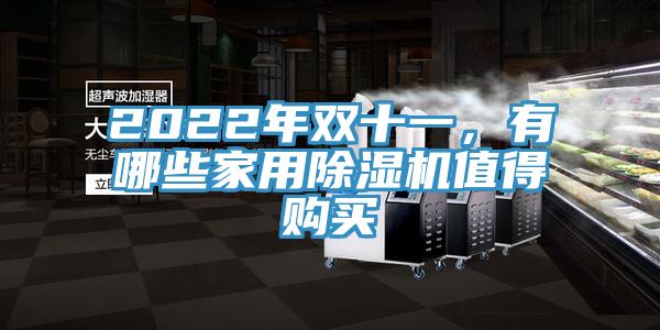 2022年雙十一，有哪些家用除濕機值得購買