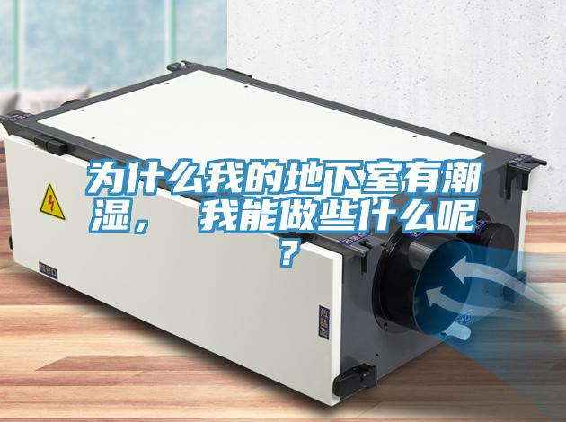 為什么我的地下室有潮濕， 我能做些什么呢？