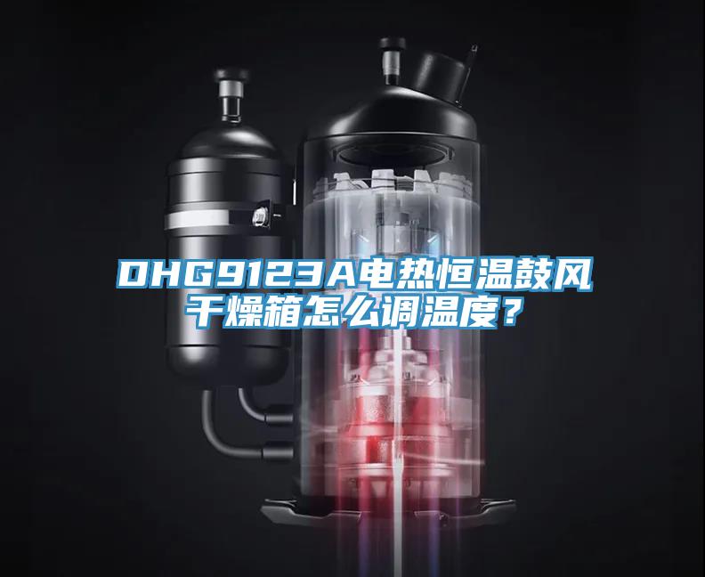 DHG9123A電熱恒溫鼓風干燥箱怎么調(diào)溫度？