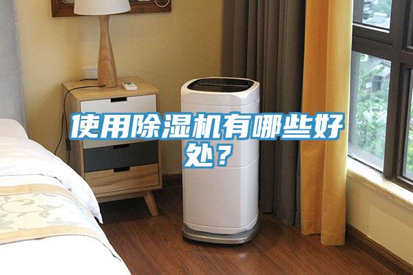 使用除濕機有哪些好處？