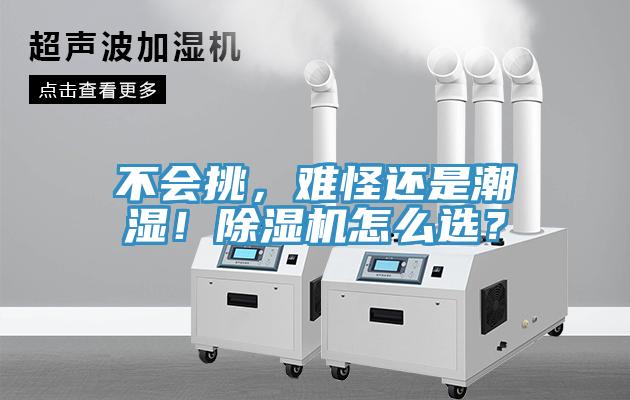 不會挑，難怪還是潮濕！除濕機怎么選？