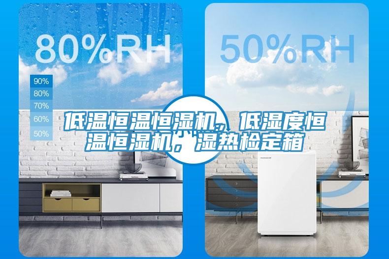 低溫恒溫恒濕機，低濕度恒溫恒濕機，濕熱檢定箱