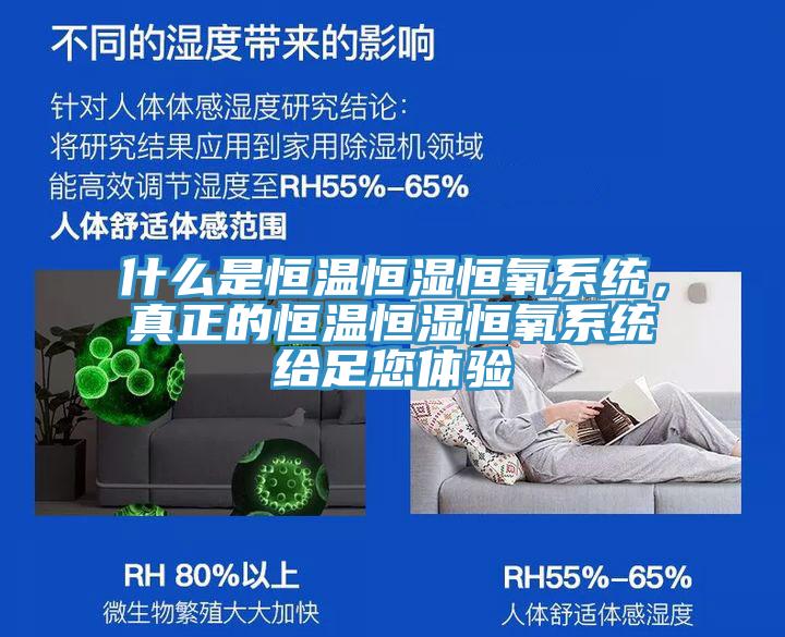 什么是恒溫恒濕恒氧系統(tǒng)，真正的恒溫恒濕恒氧系統(tǒng)給足您體驗(yàn)