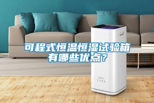 可程式恒溫恒濕試驗(yàn)箱有哪些優(yōu)點(diǎn)？