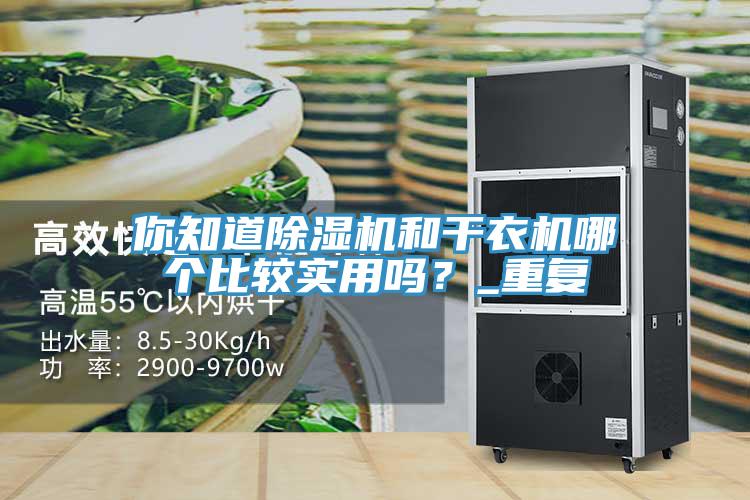 你知道除濕機(jī)和干衣機(jī)哪個(gè)比較實(shí)用嗎？_重復(fù)