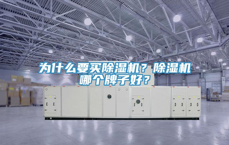 為什么要買除濕機？除濕機哪個牌子好？