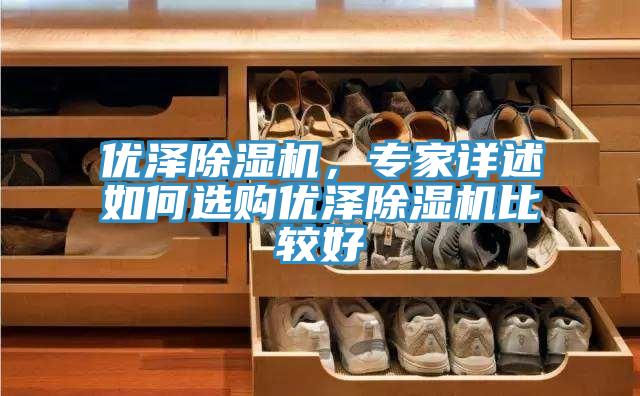 優(yōu)澤除濕機(jī)，專家詳述如何選購(gòu)優(yōu)澤除濕機(jī)比較好