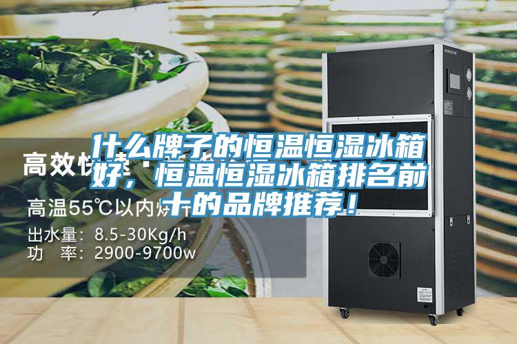 什么牌子的恒溫恒濕冰箱好，恒溫恒濕冰箱排名前十的品牌推薦！