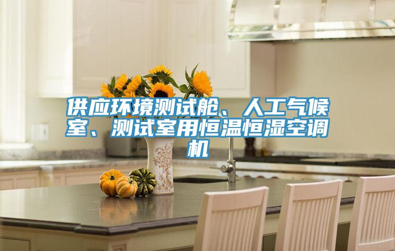 供應(yīng)環(huán)境測(cè)試艙、人工氣候室、測(cè)試室用恒溫恒濕空調(diào)機(jī)