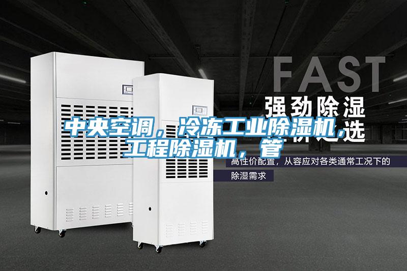 中央空調(diào)，冷凍工業(yè)除濕機，工程除濕機，管