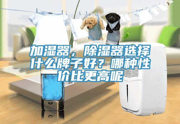 加濕器，除濕器選擇什么牌子好？哪種性價(jià)比更高呢