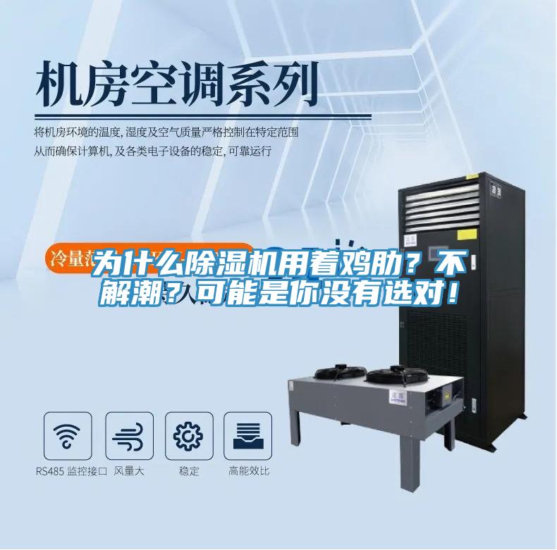 為什么除濕機(jī)用著雞肋？不解潮？可能是你沒(méi)有選對(duì)！