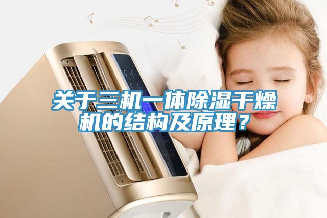關于三機一體除濕干燥機的結構及原理？