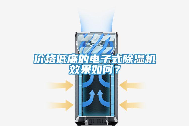 價格低廉的電子式除濕機效果如何？