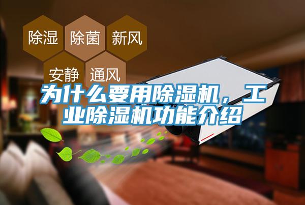 為什么要用除濕機(jī)，工業(yè)除濕機(jī)功能介紹