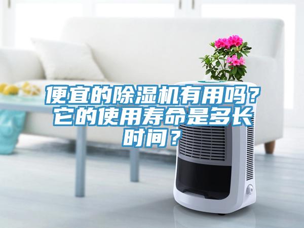 便宜的除濕機(jī)有用嗎？它的使用壽命是多長時(shí)間？